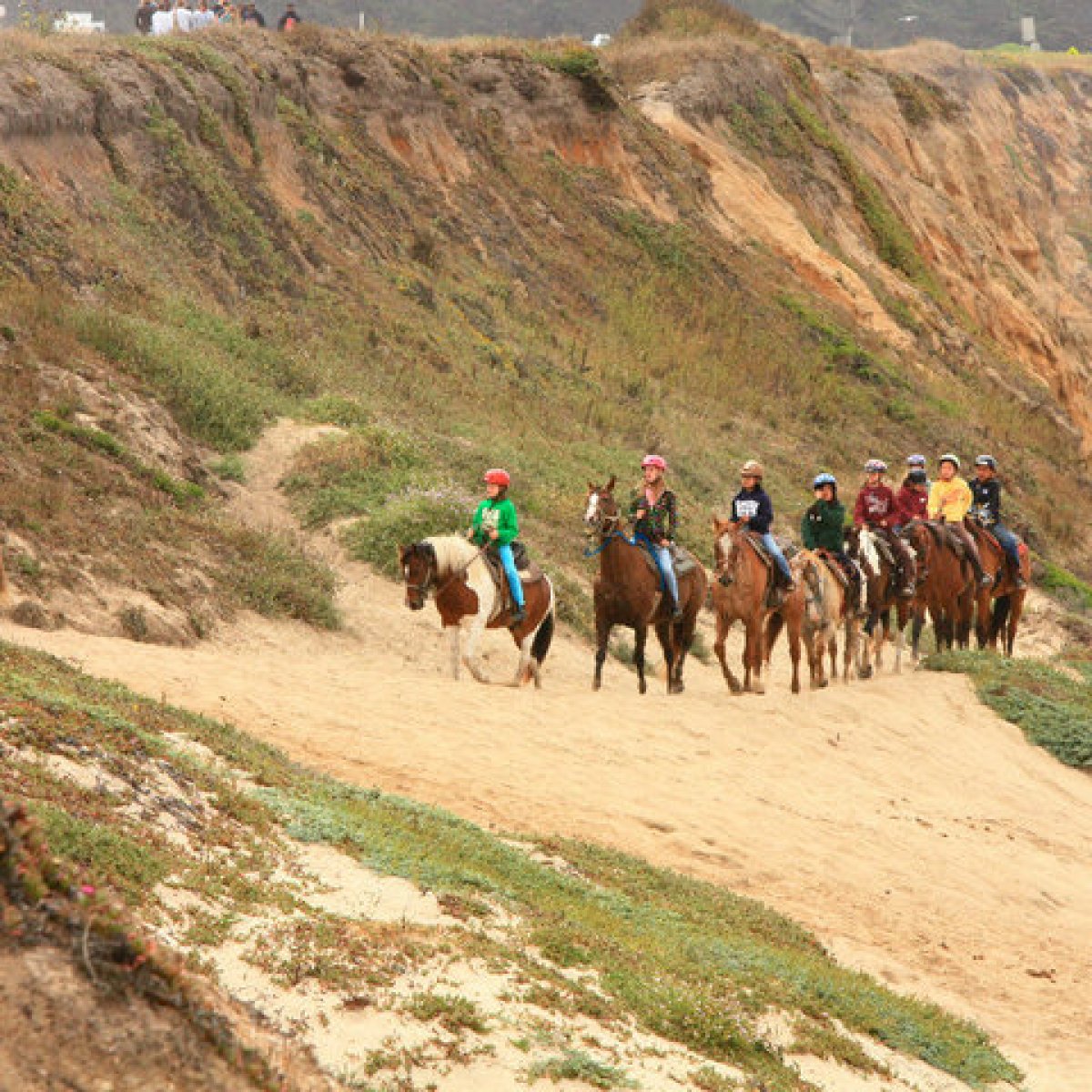 Riding horses in Half Moon Bay