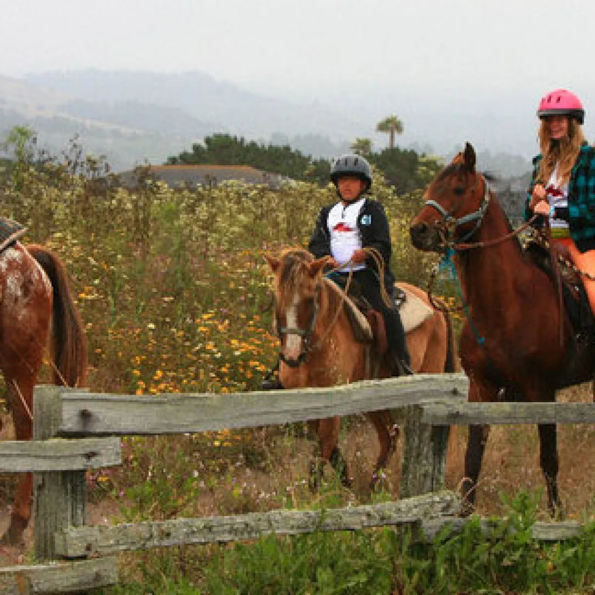 Group of riders heading back to Sea Horse Ranch