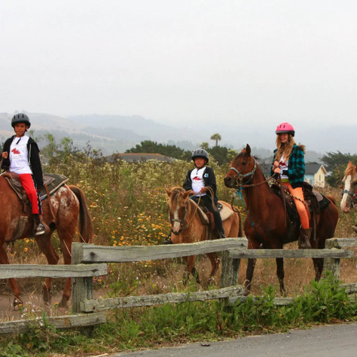 Heading back to the ranch after a tour