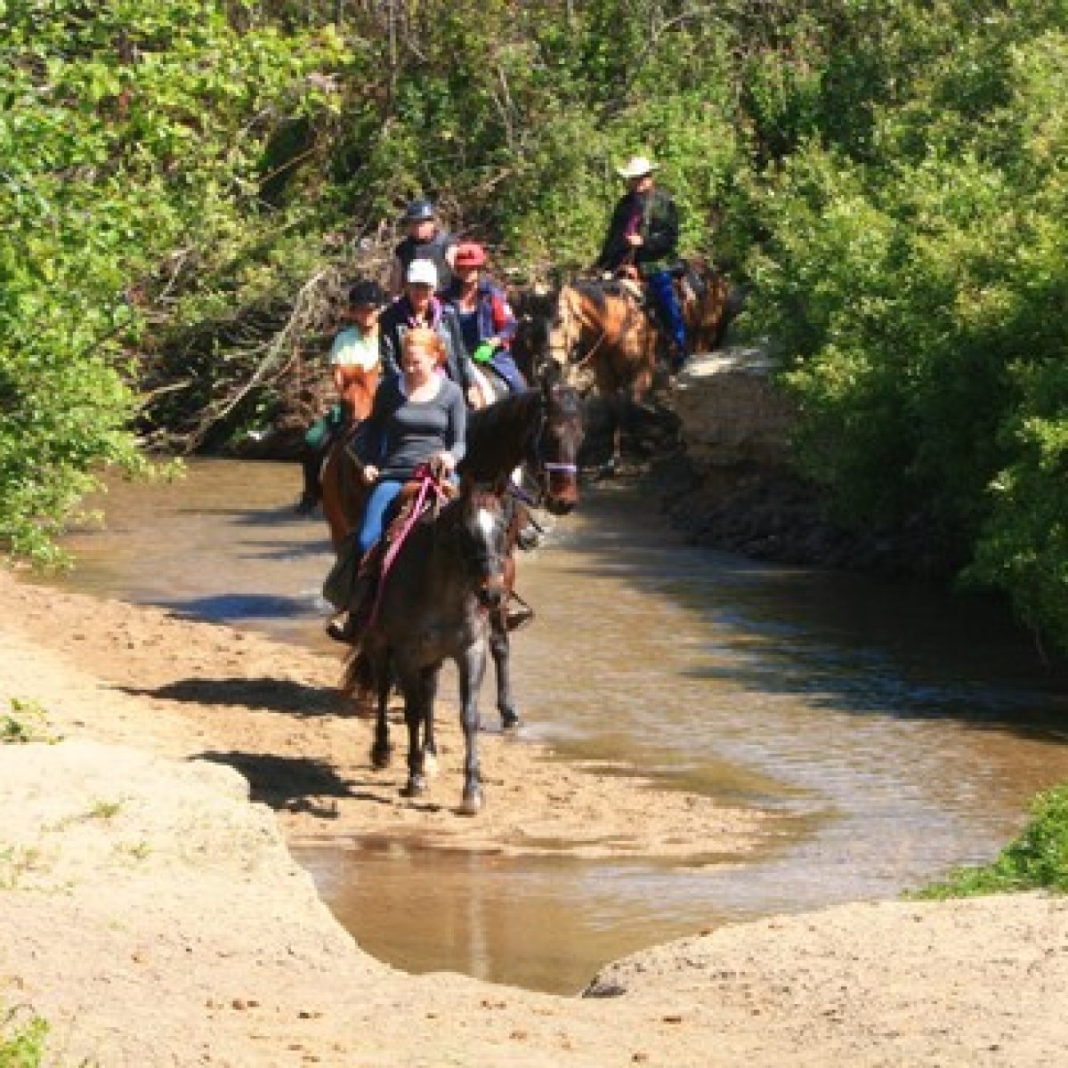 Horseback ride through the trail