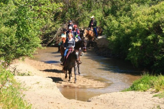 Horseback ride through the trail
