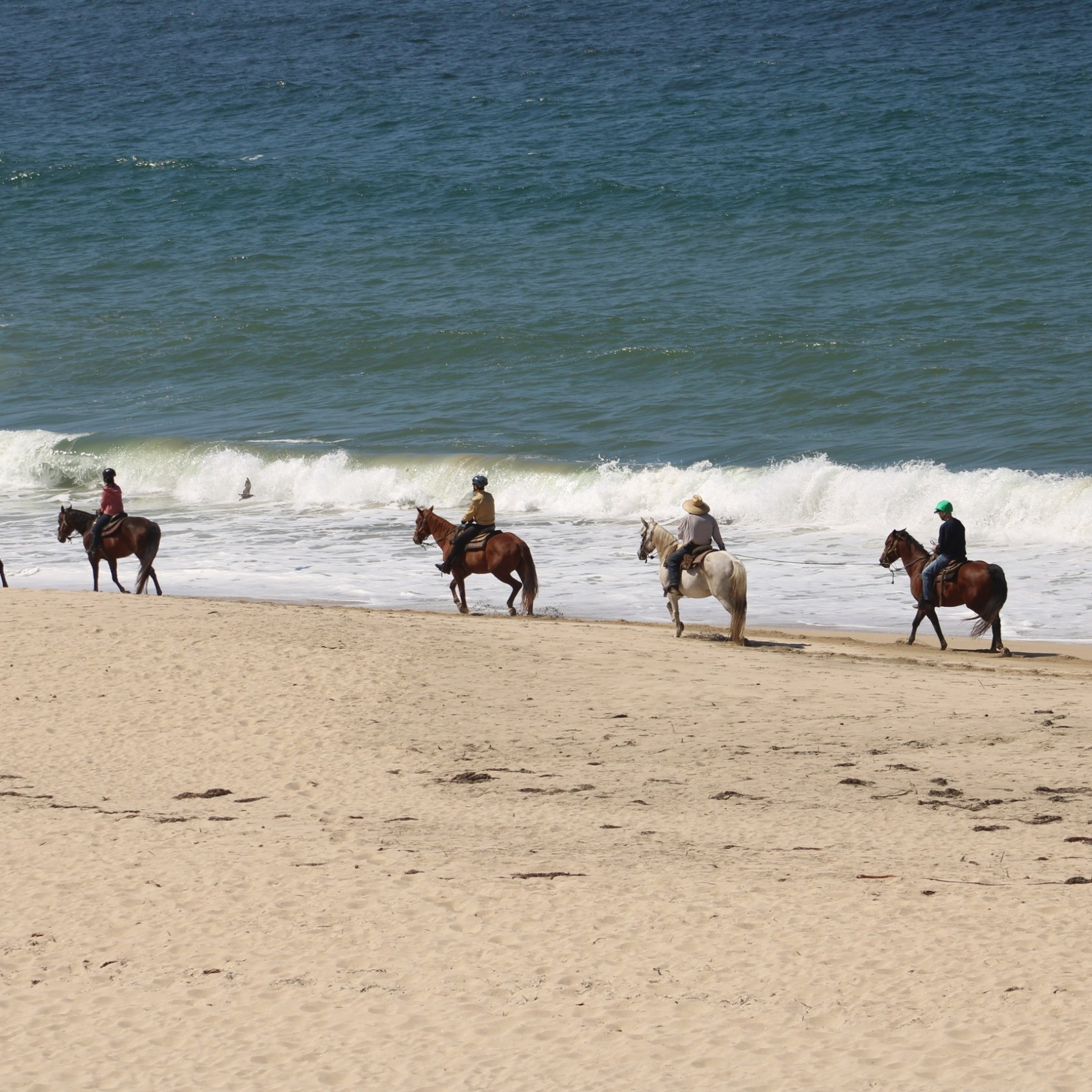 a group of people riding on top of a sandy beach