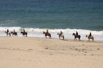 a group of people riding on top of a sandy beach